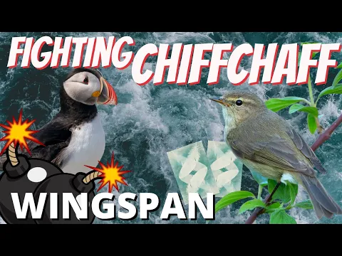 Explaining Mass Tucking Chiffchaff Engines (Wingspan Strategy): Wingspan Gameplay Competitive Elo