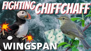 Explaining Mass Tucking Chiffchaff Engines (Wingspan Strategy): Wingspan Gameplay Competitive Elo