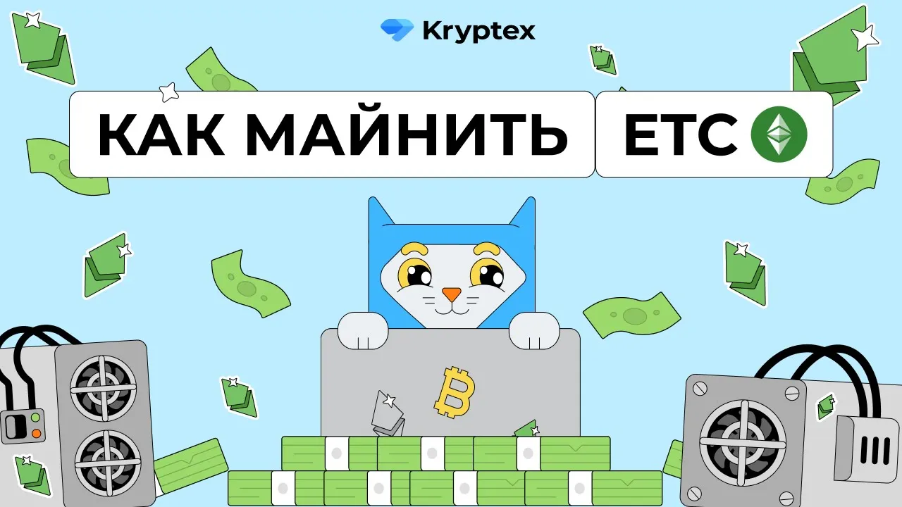 Видеогайды