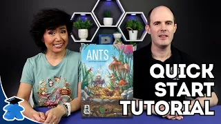 Ants - Start Playing in 15 minutes - Concise How to Play. A Board Game Tutorial