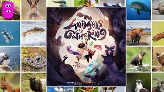 Animals Gathering, Rules overview & First Impression