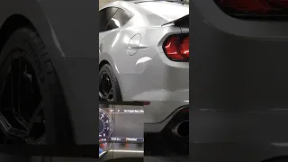 SHELBY GT500 EXHAUST! #shorts #shelbygt500 #exhaust