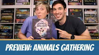 ANIMALS GATHERING: PREVIEW | Board Game Perspective