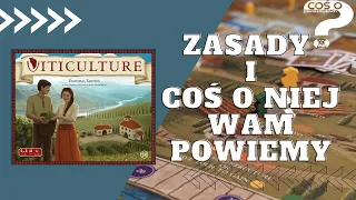 Viticulture czyli jak prowadzić biznes winiarski