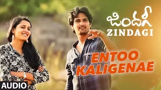 Entoo Kaligenae Full Song(Audio) || Zindagi || Phani Prakash, Kiran, Vardhan, Himaja