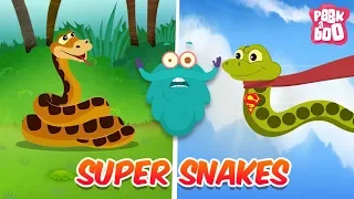 Snakes - The Dr. Binocs Show | Best Learning Videos For Kids | Peekaboo Kidz Snakes - The Dr. Binocs Show | Best Learning Videos For Kids | Peekaboo Kidz