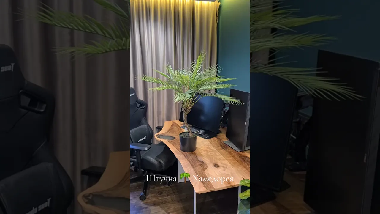 Artificial Plant Chamaedorea palm on stem H85cm NKoop EEG