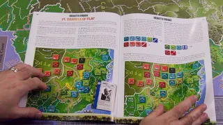 Moe previews Hearts and Minds: Vietnam 1965-1975 3rd Edition