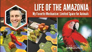 Life of the Amazonia: My Favorite Mechanism