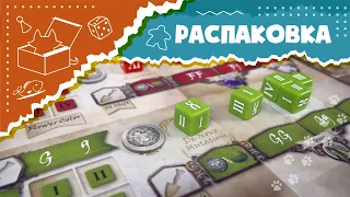 ASMR Unboxing Genotype: A Mendelian Genetics Game