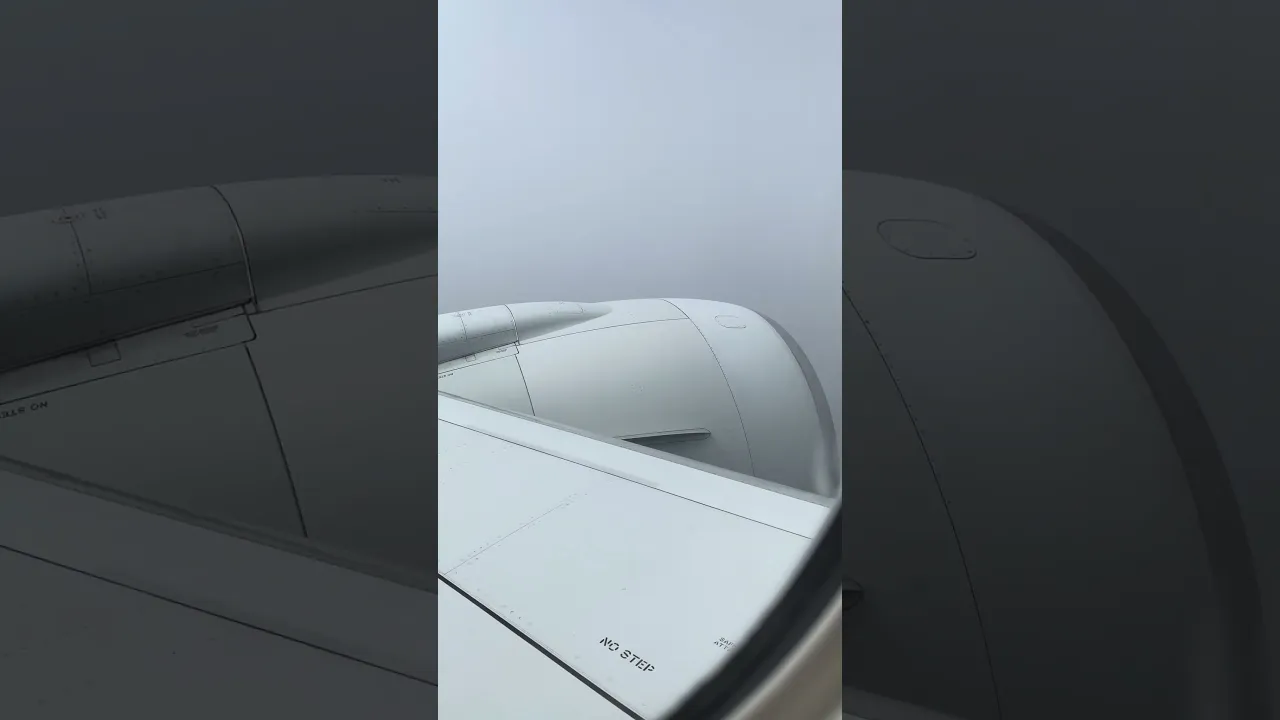 Above the Clouds: Auckland to Brisbane Flight 🌏✈️