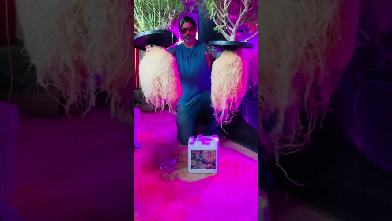Video de Greengo Nutrientes