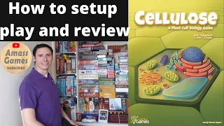 Cellulose how to setup play and review educational #boardgame #science #tabletop AmassGames #nature