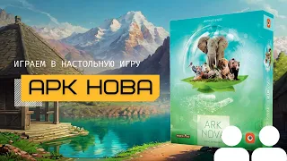 АРК НОВА (ARK NOVA) – правила игры и летсплей, играем в настольную игру вдвоём