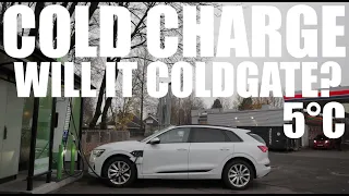 Audi E-Tron 55 - Cold Charge Speed Test!