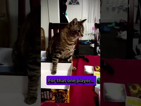 Every board game group has a player that takes too long! #boardgames #gamenight #funny #shorts #cat