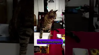 Every board game group has a player that takes too long! #boardgames #gamenight #funny #shorts #cat