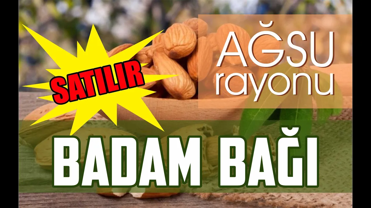 Satılır torpaq sahəsi5500 sot, Ağsu- (əmlakın videosu)