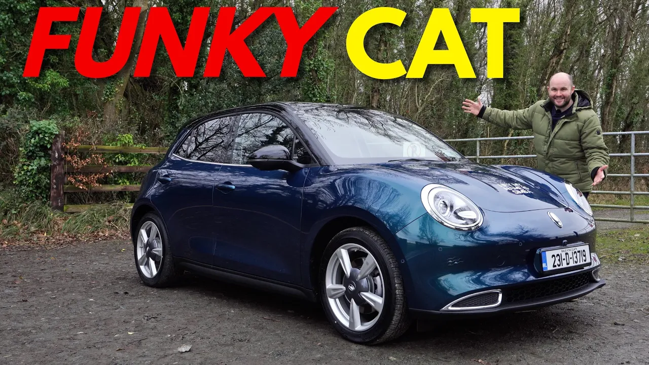 Ora Funky Cat review | Watch before you buy!!