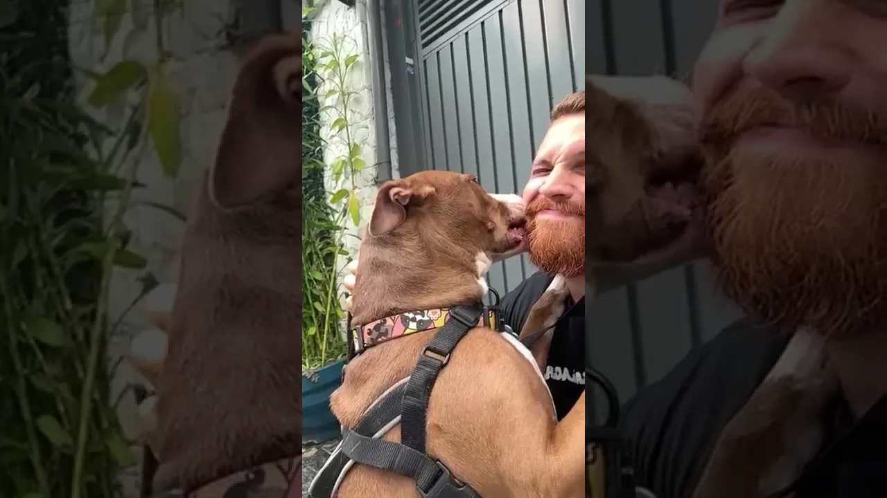 Vídeo de Brendon Pets Store