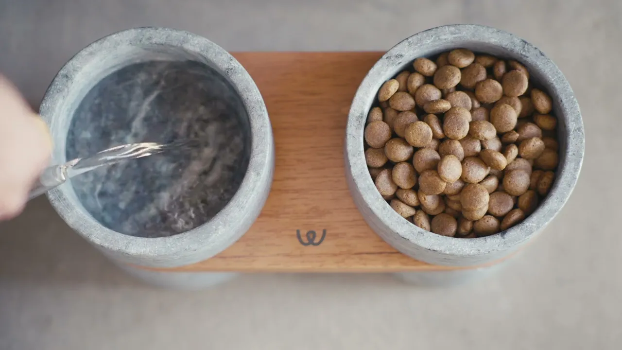 Vídeo de Woofun | Móveis Pet com Design para Cães e Gatos