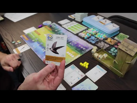 Wingspan