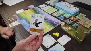 Wingspan