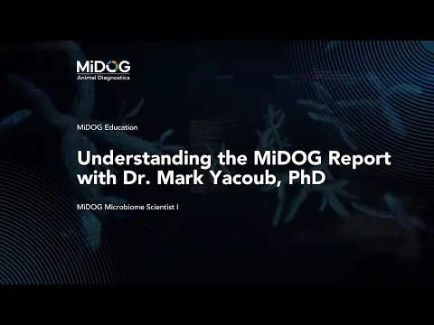 youtube-video-thumbnail