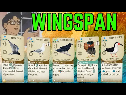 Is This A Wingspan? Wingspan Board Game