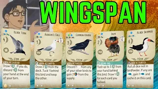Is This A Wingspan? Wingspan Board Game