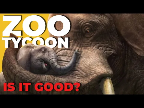 Zoo Tycoon: The Board Game | Everything You Need to Know!