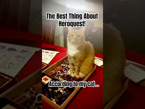 The best thing about Heroquest! According to my orange cat #boardgames #heroquest #pets #shorts #fun