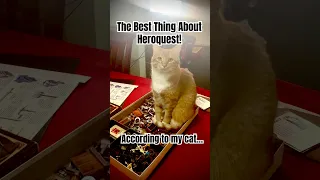 The best thing about Heroquest! According to my orange cat #boardgames #heroquest #pets #shorts #fun