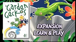 Learn & Play | Garden Geckos Dew Drops & Koi Ponds Expansion Kickstarter Preview
