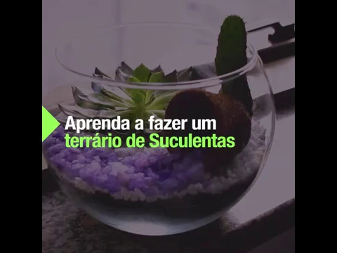 Vaso Vidro Terrário Oval Médio Incolor