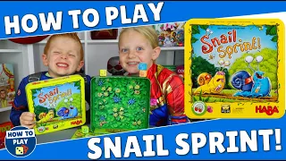 Snail Sprint How to Play