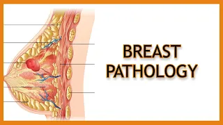 Breast Pathology (Inflammatory vs. Benign vs. Malignant)