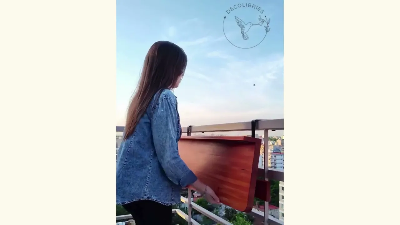 Video de DECOLIBRIES