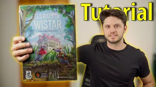 Tutorial - Ratas de Wistar
