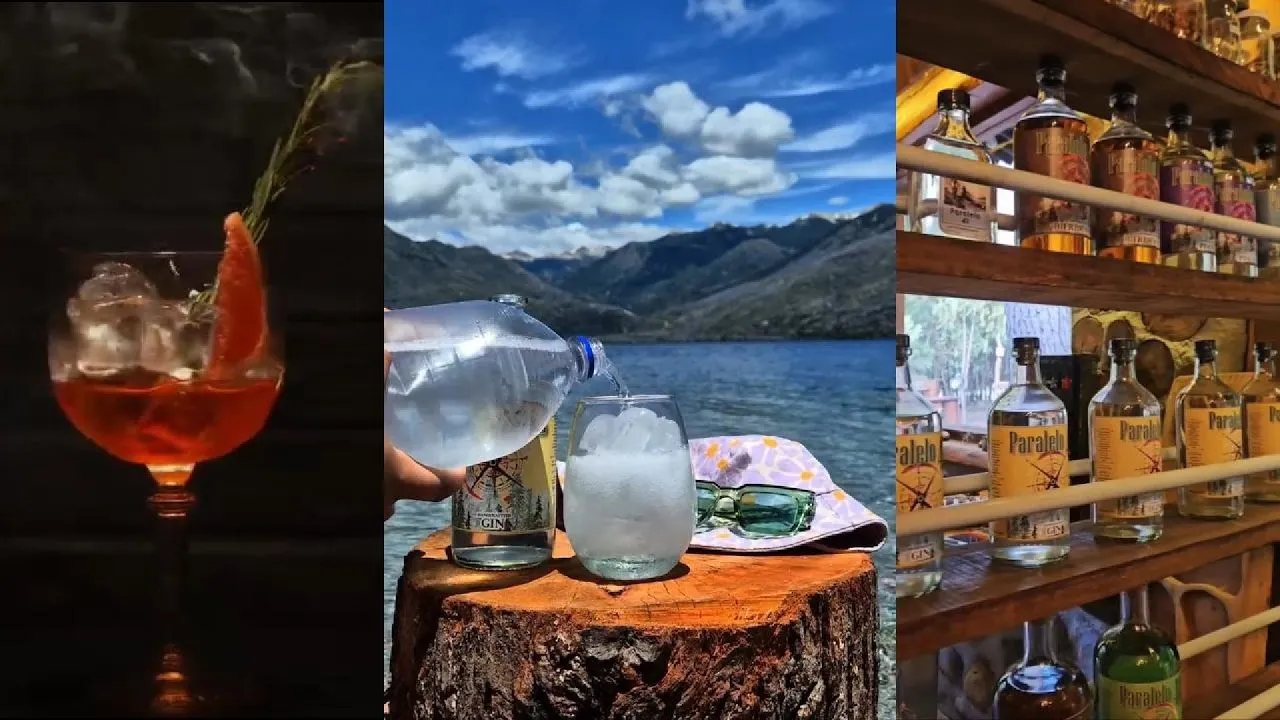 Video de Paralelo 42