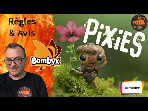 PIXIES Règles & Avis du jeu de société