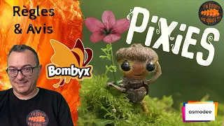 PIXIES Règles & Avis du jeu de société