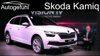 Skoda Kamiq REVIEW Exterior Interior - Autogefühl