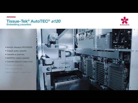 youtube-video-thumbnail