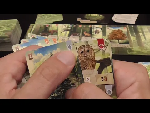 Forest Shuffle Review