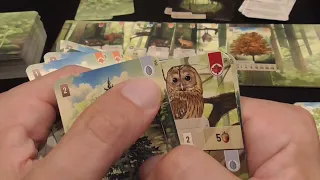 Forest Shuffle Review