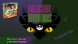 Place Your Bets - A Camel Up Review by OwlDragon Adventures