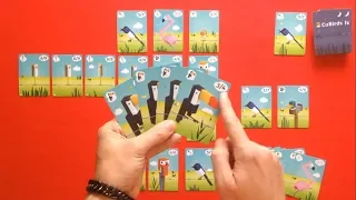 CuBirds | Cómo se juega