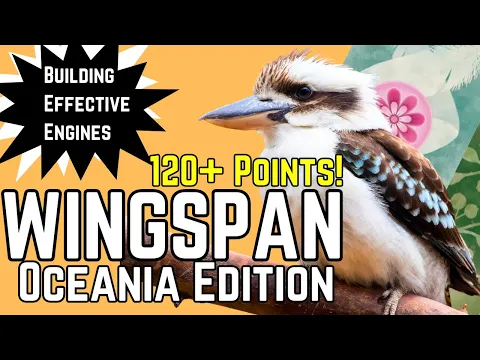 Wingspan Strategy | How To Play and Build Effective Engines 120 + Points!