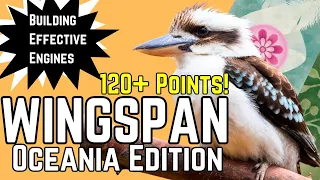 Wingspan Strategy | How To Play and Build Effective Engines 120 + Points!